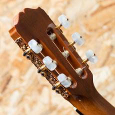 Takamine NPT-315 1991_9