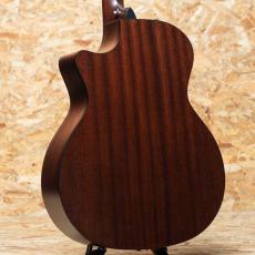 Taylor 314ce J-Spec_2