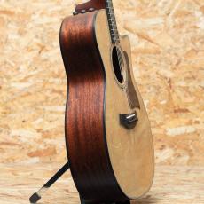 Taylor 314ce J-Spec_4
