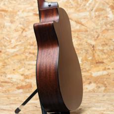 Taylor 314ce J-Spec_5