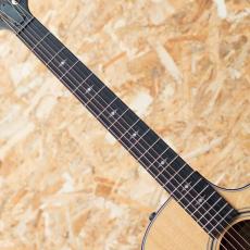 Taylor 314ce J-Spec_6