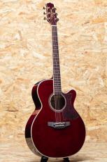 Takamine DMP551C WR_3