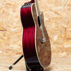 Takamine DMP551C WR_4