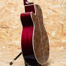 Takamine DMP551C WR_5