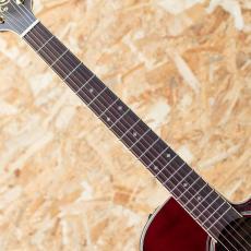 Takamine DMP551C WR_6
