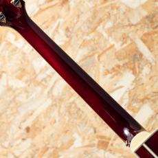 Takamine DMP551C WR_7