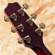 Takamine DMP551C WR_9