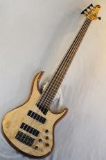 MTD Kingston Z5 -Nat Gloss-【4.33kg】_2