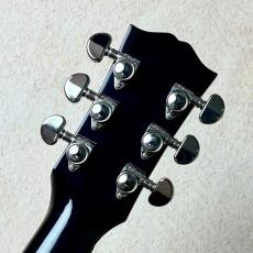Gibson 【GibsonExpo出展品】Hummingbird standard EB 2022年製_9