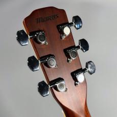 Morris MF-601　ハードケース付属　【現物写真】_5