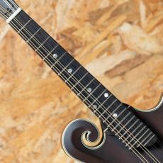 Eastman MD315 2025_6