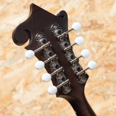 Eastman MD315 2025_9
