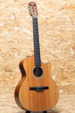 Taylor 414ce-N LTD 2016_3
