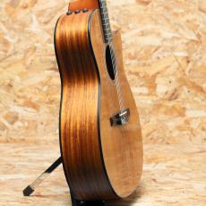 Taylor 414ce-N LTD 2016_4