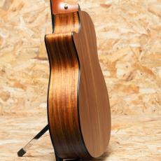 Taylor 414ce-N LTD 2016_5