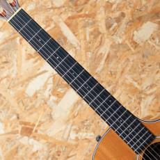 Taylor 414ce-N LTD 2016_6