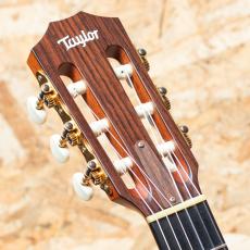 Taylor 414ce-N LTD 2016_8