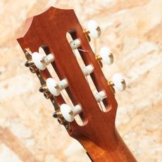 Taylor 414ce-N LTD 2016_9