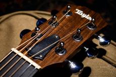 Taylor GS Mini-e / 2021_4