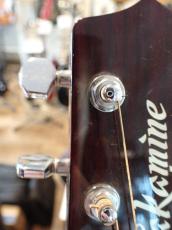 Takamine PT-508_8