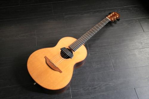 Lowden WL-25　ピックアップ付き　エドシーランも使用