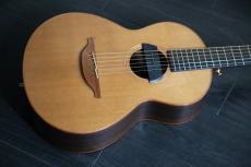 Lowden WL-25　ピックアップ付き　エドシーランも使用_3