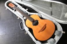 Lowden WL-25　ピックアップ付き　エドシーランも使用_5