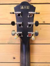 Ibanez AEWC400-TKS_4