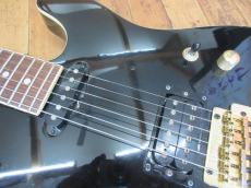 FERNANDES TEJ-55G_2