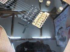 FERNANDES TEJ-55G_3