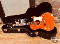 Gibson Gibson 2015 Tamio Okuda CF-100E_7