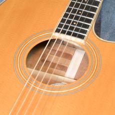Fender MADE IN JAPAN PM-4CE AUDITORIUM CUSTOM [日本製][25本限定]_10