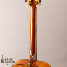 Martin Special Edition SPD-16K2_8