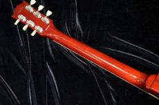 Tokai LS201 VF_5