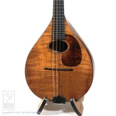 Martin Style-AK