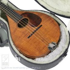 Martin Style-AK_15