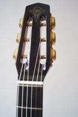 ARIA MM-100_5