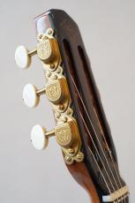 ARIA MM-100D_9