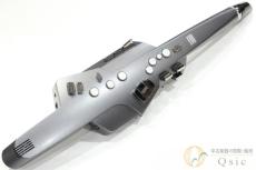 Roland AE-10G [TLH63]【難波店在庫】