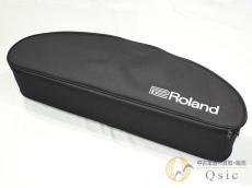Roland AE-10G [TLH63]【難波店在庫】_10