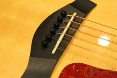 Taylor 214ce-G 【返品OK】[TL666]【神戸店在庫】_5