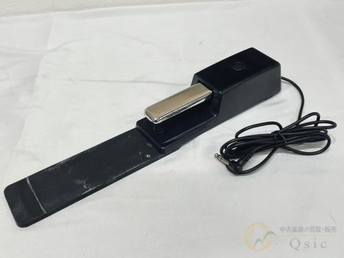 Roland DP-10 [TLR21]【箕面店在庫】