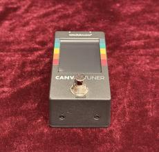 WALRUS AUDIO CANVAS TUNER_3