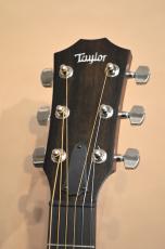 Taylor AD17 American Dream　2021年製_4