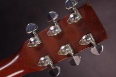 Martin D-35_5