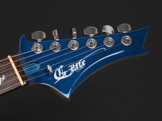 G-Life Guitars DSG Classic ~Caribbean Ocean Blue~_3