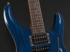G-Life Guitars DSG Classic ~Caribbean Ocean Blue~_4