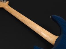G-Life Guitars DSG Classic ~Caribbean Ocean Blue~_10