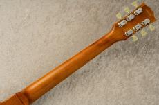 Edwards E-LP-STD -Gold- #ED2260253 【旧定価】【町田店】_8