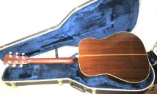 Martin D-28 _2